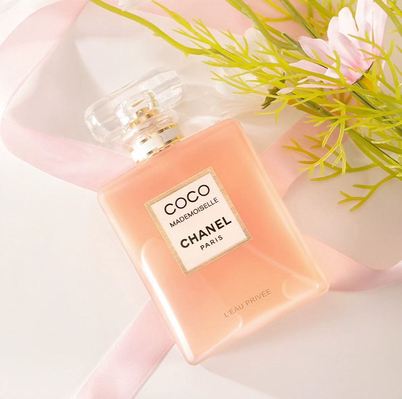 Miss COCO(Anchor development)