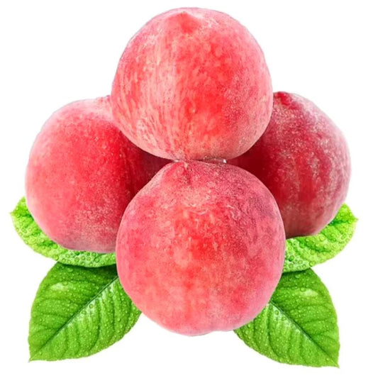 honey peach(Anchor development)